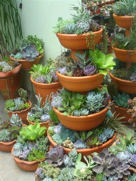 Cómo realizar un mini jardín en maceta con plantas suculentas