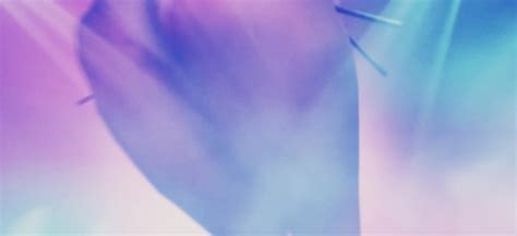 D Hentai PMV Best D Hentai Edit Ever