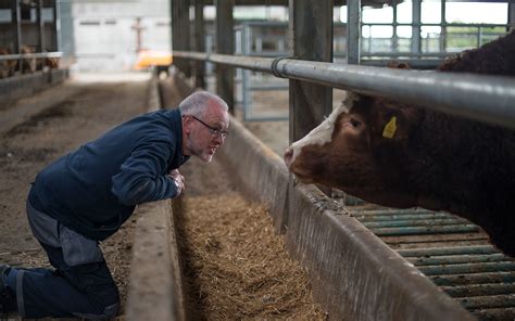 feed services feed testing alberta feed consulting