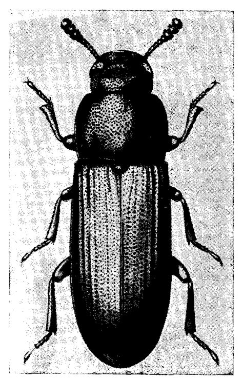 IS 6151-2: Storage Management Code, Part II: General Care in Handling ...