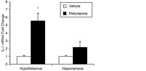 Sex Differences In The Regulation Of Brain Il In Response To Chronic Stress Abstract
