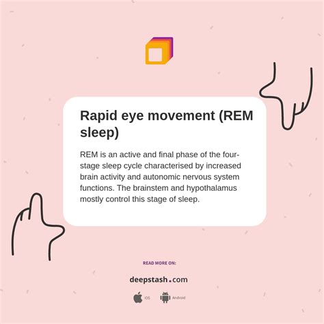 rapid eye movement rem sleep deepstash