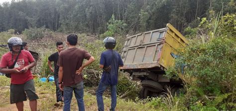 Mobil L300 Muatan Udang VS Truk PS Terjun Ke Jurang Di Jalan Lintas WKS