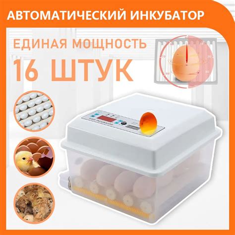 16 яиц, полностью автоматический семейный инкубатор smart egg, один ...