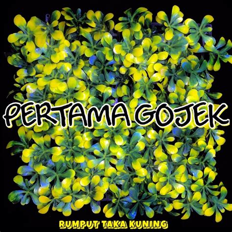 Jual Rumput Taka Full Daun Plastik Rumput Plastik Bunga Artificial