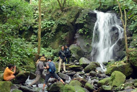 Tur Festival Wisata Hutan Lampung 2022 Jelajah Kaki Gunung Rajabasa