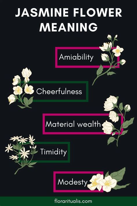 Jasmine flower meaning – Artofit