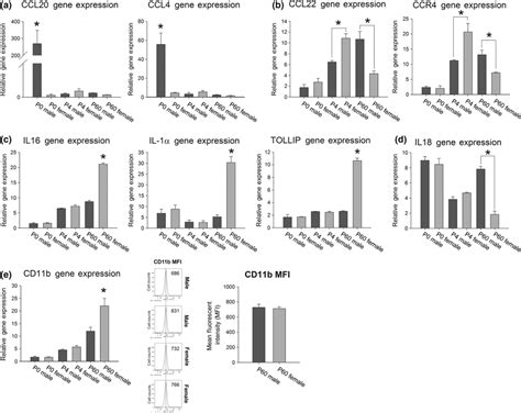 Sex Differences In Microglial Colonization Of The Developing Rat Brain