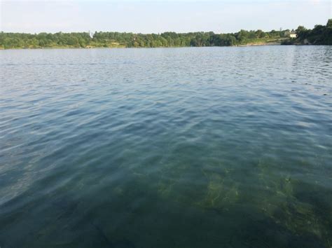 Синявинское озеро — Европа, Россия, Калининградская область