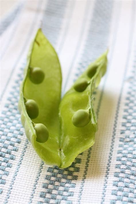 Garden Peas - Primal Palate | Paleo Recipes