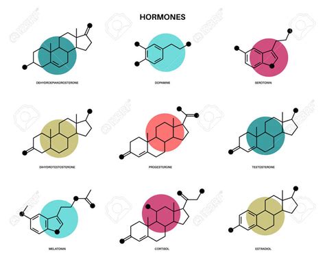 Print Memory Game Memorama Del Sistema Endocrino