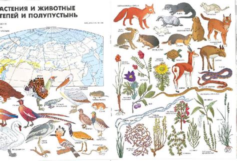 Книга: "Географический атлас: Мир и Человек". Купить книгу, читать ...