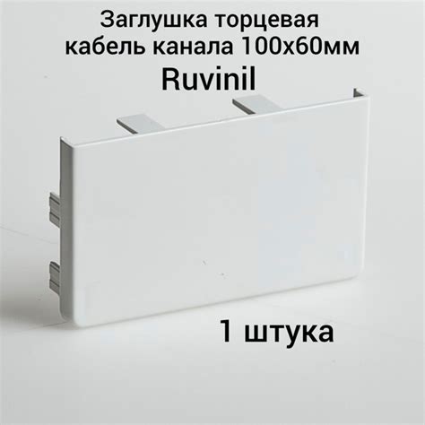Заглушка торцевая для кабель канала 100х60мм Ruvinil белый - купить с ...