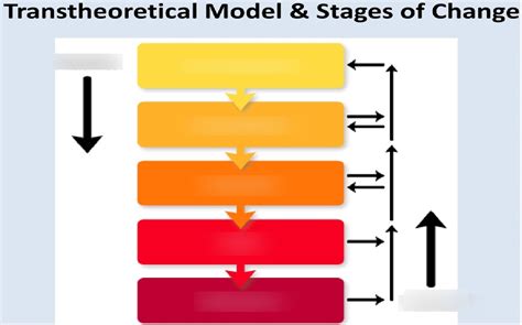 Transtheoretical Model Diagram | Quizlet