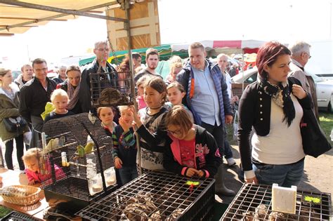 Lessay La Foire De Toutes Les Envies La Presse De La Manche