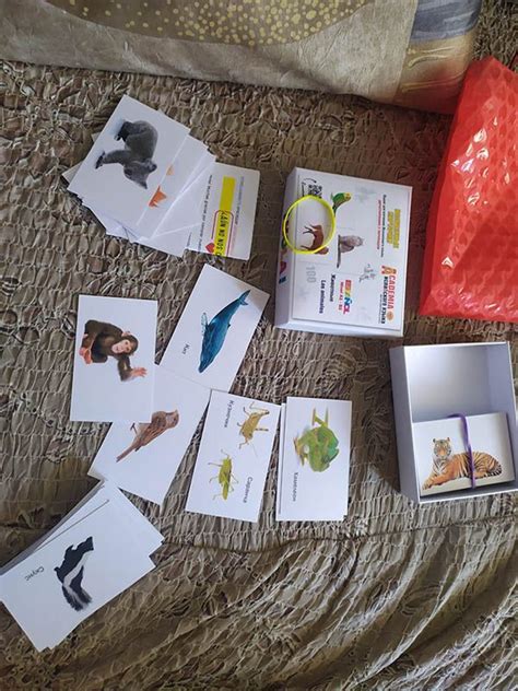 Тематические карточки для изучения испанского языка | учить испанские ...