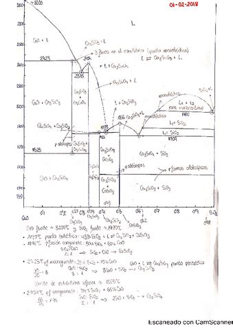 Examenes Diagramas De Fase Pdf