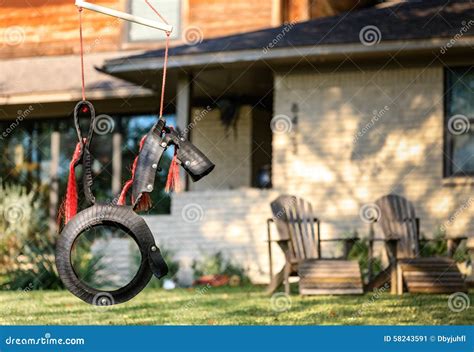 Horse Tire Swing Stock Image Image Of Rubber Park Mannequin 58243591