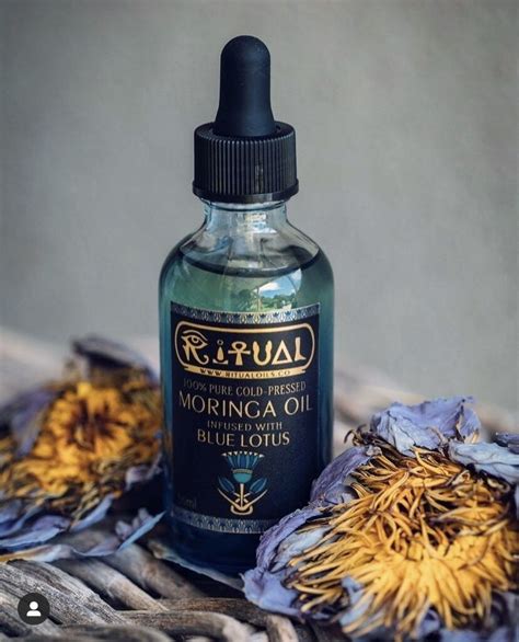 Services 2 The Nude Blogger