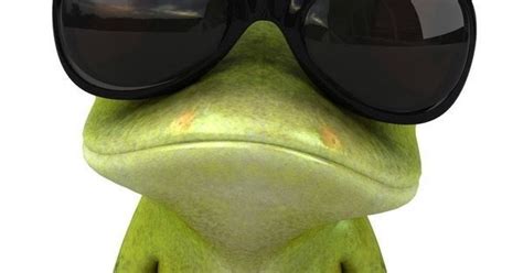 The Portuguese Water Blog Hot Lazy Days