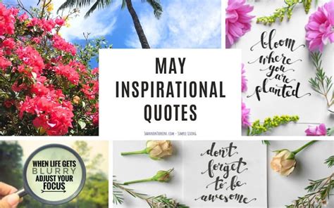 May Inspirational Quotes To Welcome A New Month Shannon Torrens