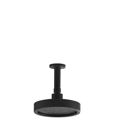 Chuveiro Articulado De Teto Metal Plus 501 10cm 3200 1/2 Preto Fani