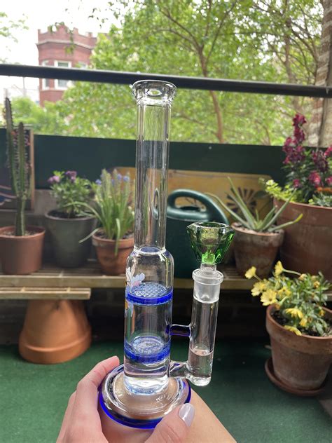 Chicago finally allowing me to utilize my favorite spot! : r/trees