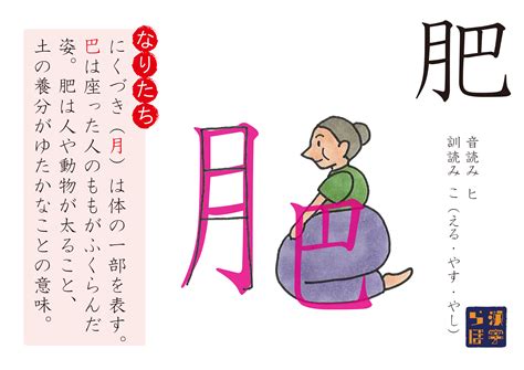 小学5年生の漢字 肥 | kanjilaboのブログ