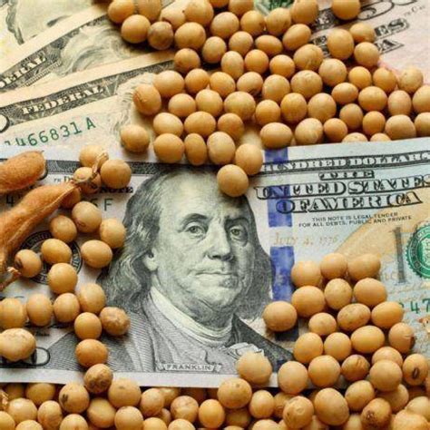 Por el aumento del precio de la soja, el Gobierno recaudará más de u$s