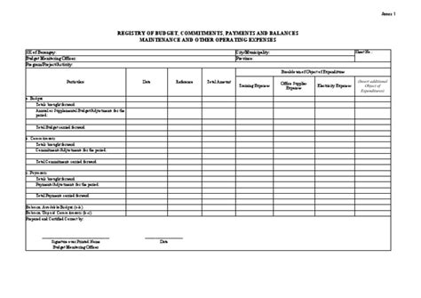 registry  budget commitments payments  balances maintenance
