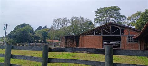 Fazenda S Tio Na Rea Rural Sn Area Rural De Botucatu Em Botucatu