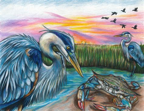 Tides of Tomorrow Art Contest Winners – Coastal Bend Bays & Estuaries