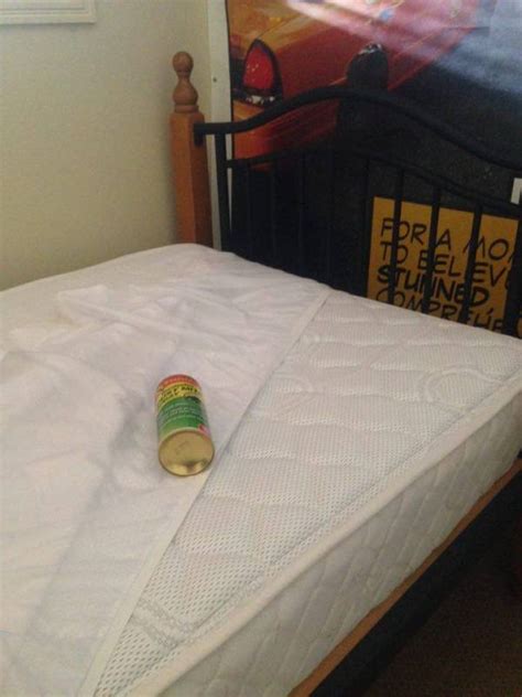 Do You Share Your Bed With Dust Mites? – Bath and Body