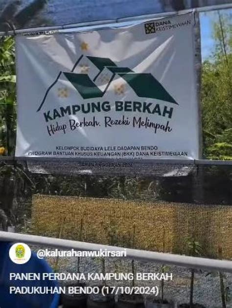 PANEN PERDANA KAMPUNG BERKAH PADUKUHAN BENDO 17 10 2024 Website