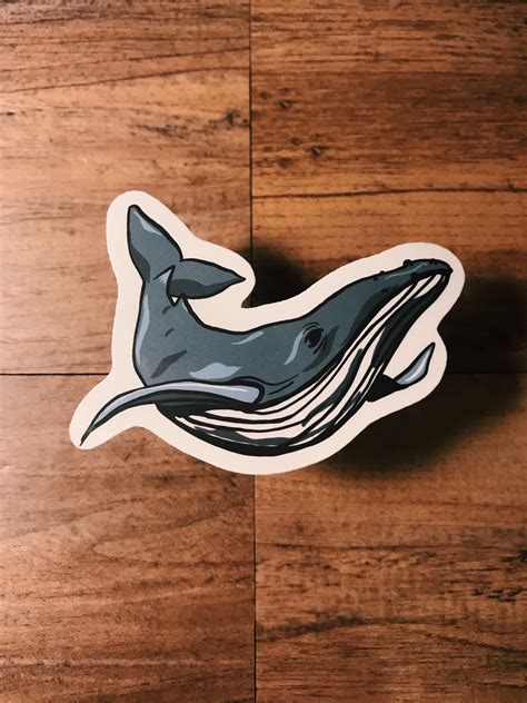 Whale Sticker Etsy