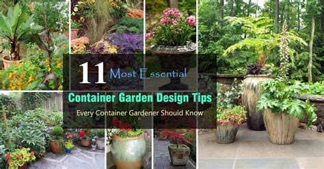 11 Most Essential Container Garden Design Tips | Designing a Container ...
