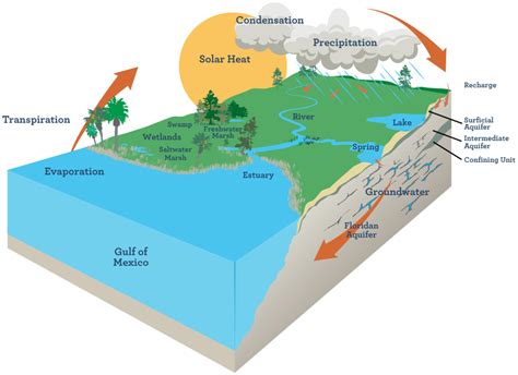 The Floridan Aquifer System