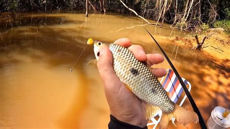 Varinha De M O Da Barranca Do Rio Pegamos Muito Peixe Fizemos Frito E