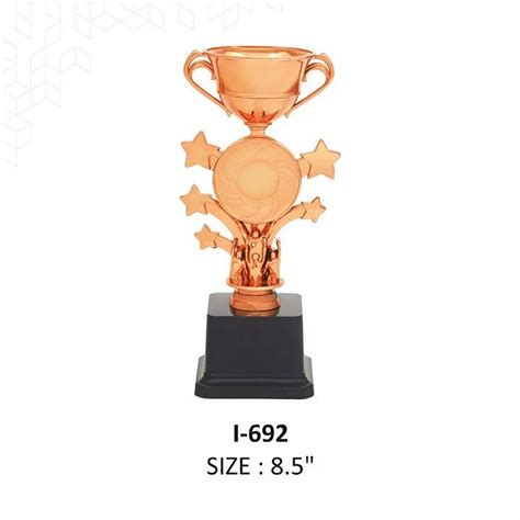 fiber star cup trophy size     rs piece   delhi