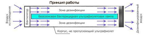 Бактерицидные лампы: типы, принцип работы, применение