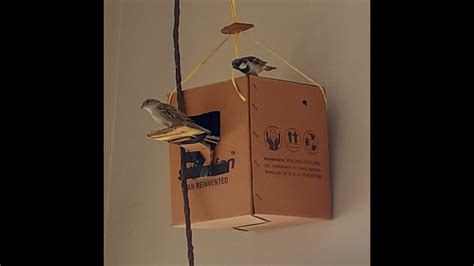 Home Made Sparrow Box Diy Home Made Nest Youtube