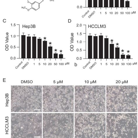 Cep Inhibits Hep3b And Hcclm3 Cells Viability In A Concentration Download Scientific Diagram