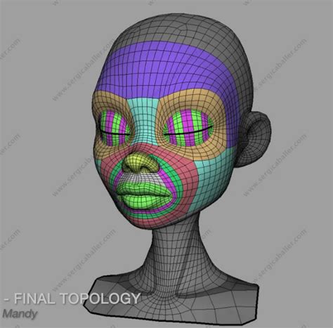 Need Help On Human And Face Topology Face Topology Topology