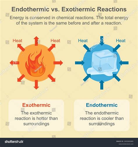 Endothermic Exothermic Chemical Reactions Vector Illustration Stock