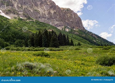crested butte colorado mountain landscape  wildflowers stock photo