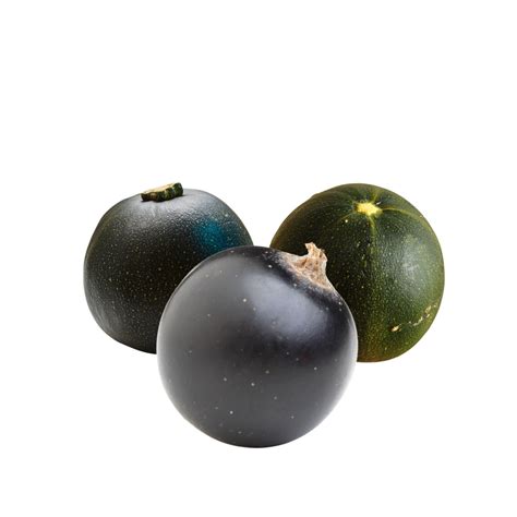 organic gem squash orchard food