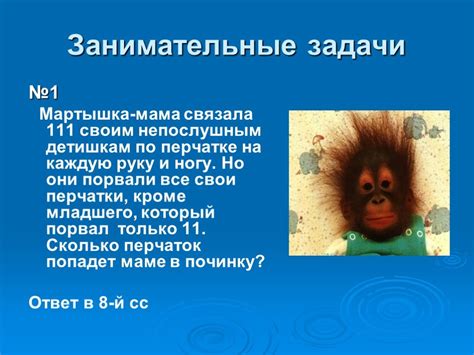 Задачи мартышки