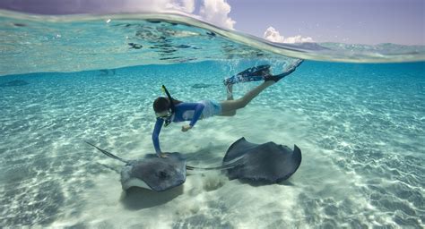 Grand Cayman, Cayman Islands | Inspirato Luxury Vacation Residences