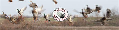 Mack's Prairie Wings