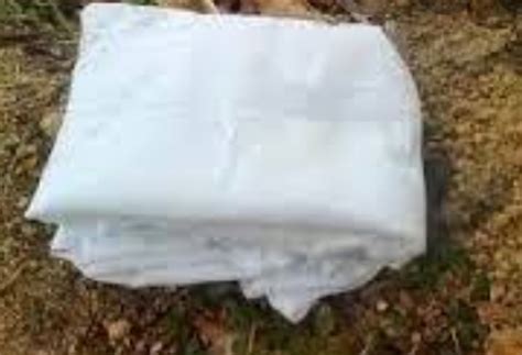 bungkusan kecil penerbit edulitera